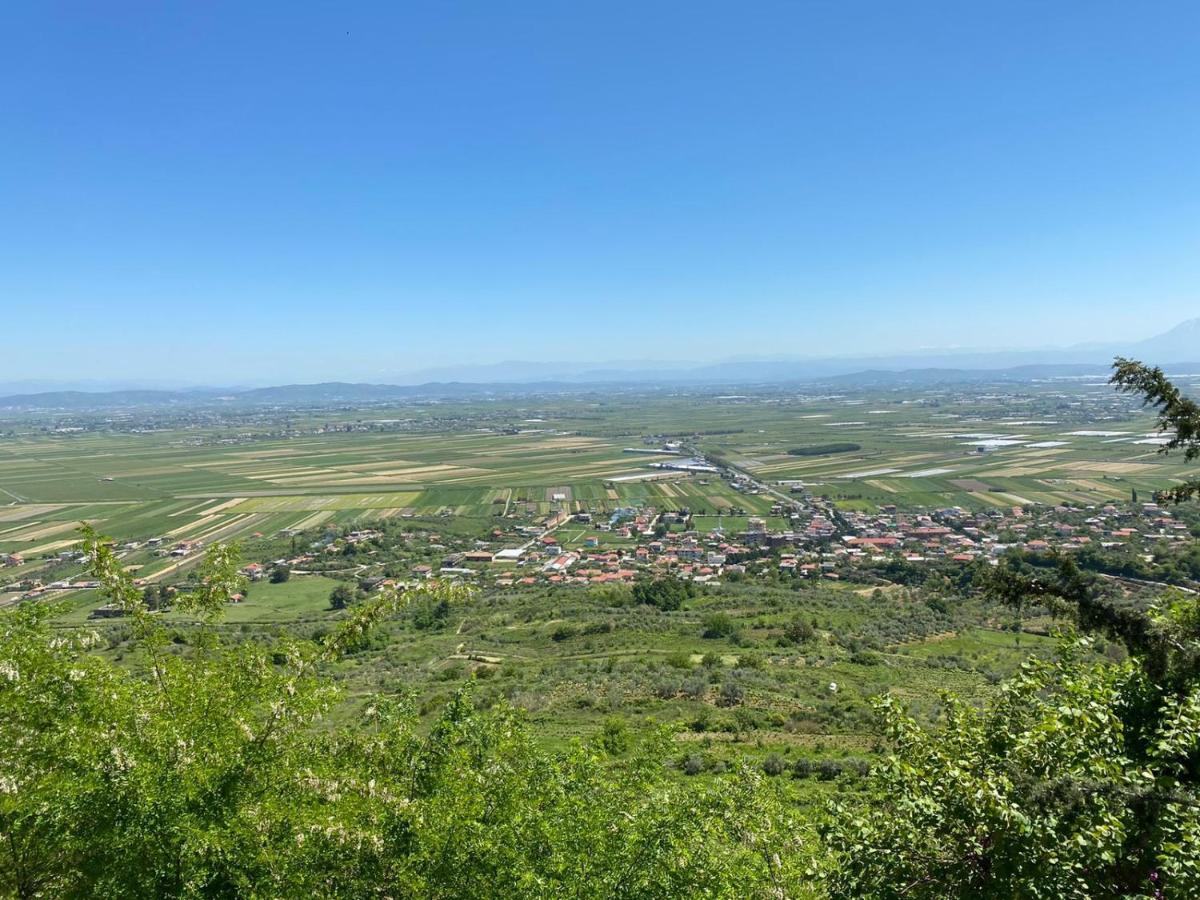 Ardenica Boutique Hotel Lushnjë Exteriör bild