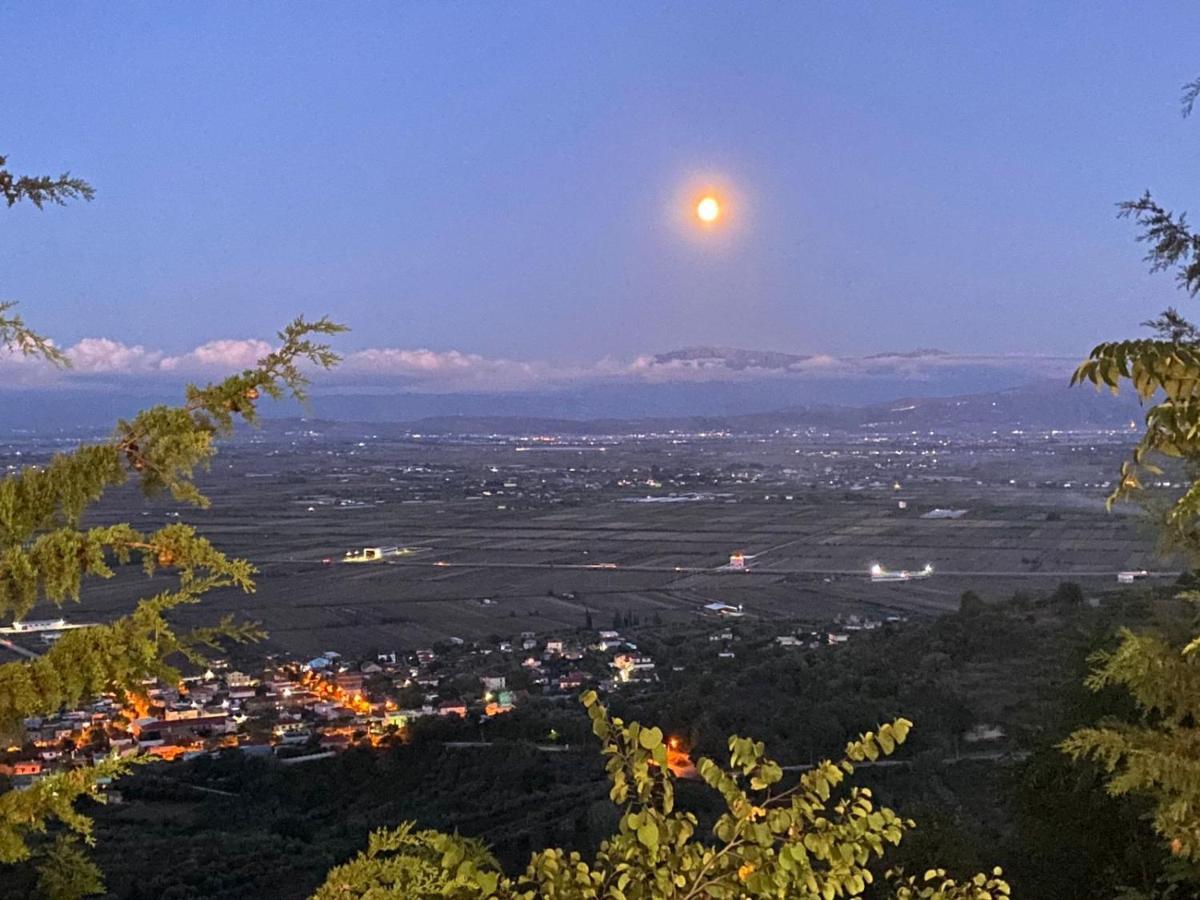 Ardenica Boutique Hotel Lushnjë Exteriör bild
