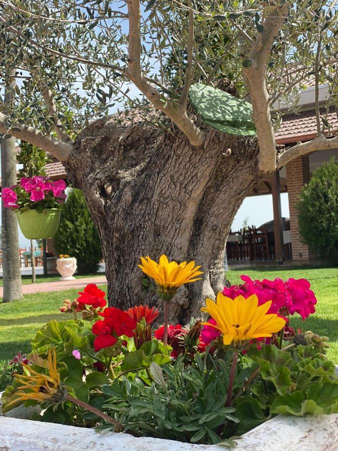 Ardenica Boutique Hotel Lushnjë Exteriör bild